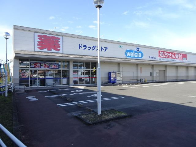 ソリタリーパインＢのその他