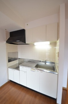 国立市富士見台３丁目の賃貸マンションのキッチン