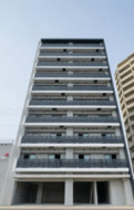 Aster　N13の画像