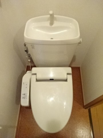 ルピナスのトイレ
