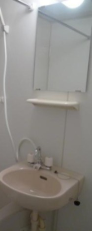 ライズ亀戸の洗面所
