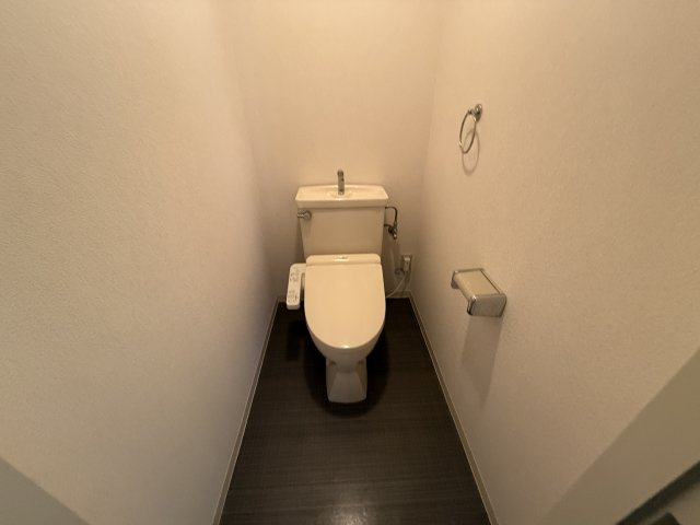 ハイツ桃山Ⅱのトイレ