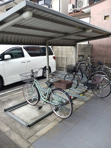 シャルマンのその他