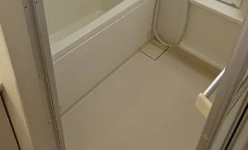 メゾン ウィスタリアの浴室