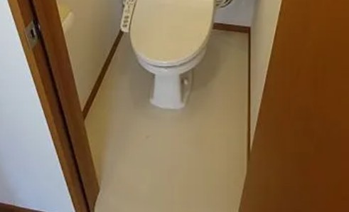 メゾン ウィスタリアのトイレ