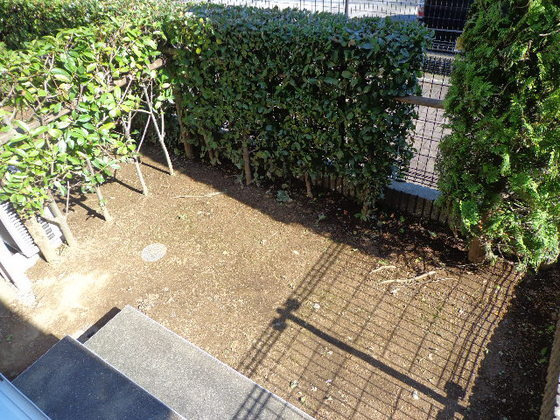 クランベリーのその他|別号室参考写真