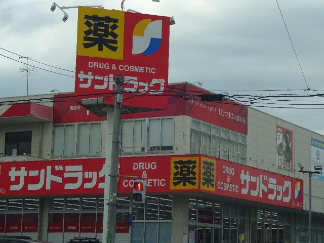 【周辺】 | ドリームハウス | サンドラッグ城山店まで499ｍ