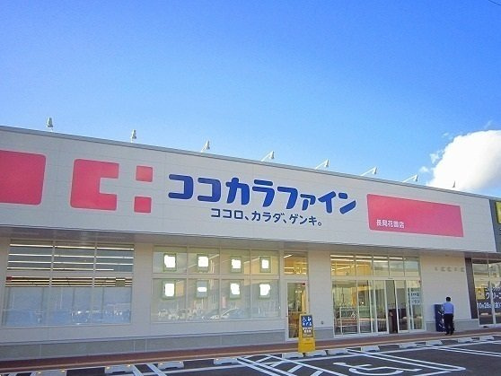 グランフィールズ　花園の周辺|ココカラファインまで630m
