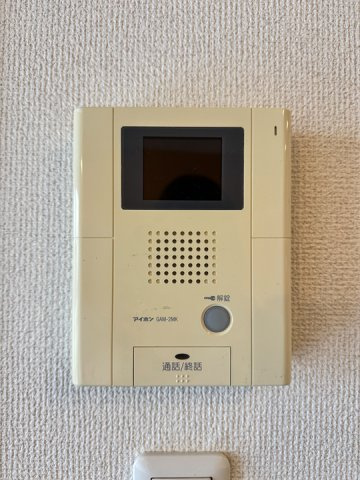 アウリイⅠのその他