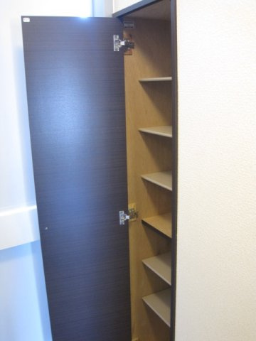 レオネクスト春の内装|玄関収納