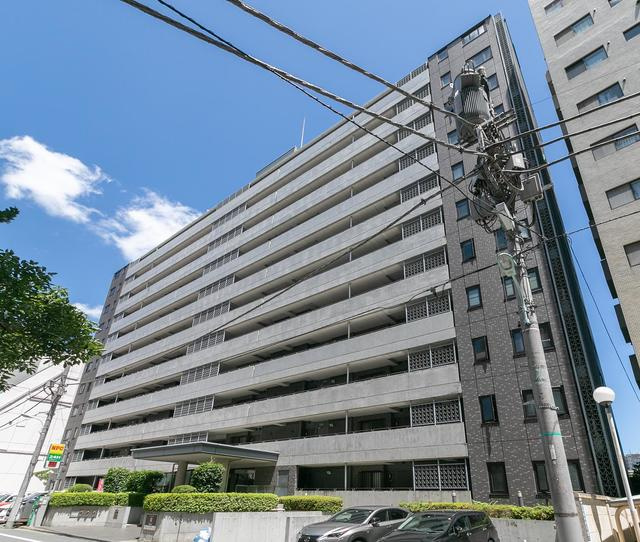 Ｌａｐｙｕｔａの外観