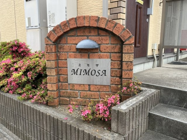 ＭＩＭＯＳＡのその他
