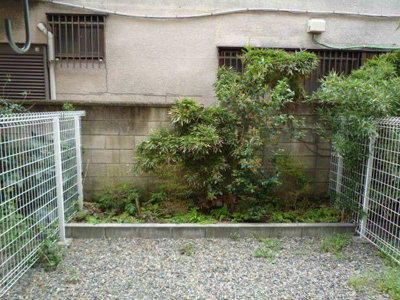 専用庭