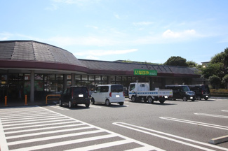 ina21相模原下九沢店まで550ｍ