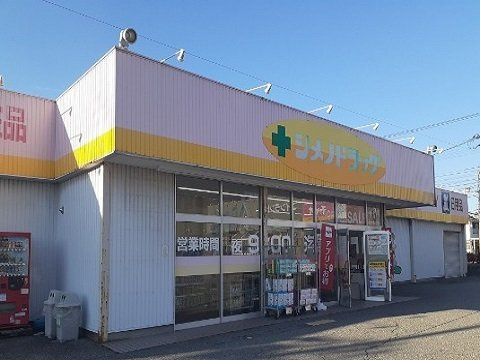 エムティハウスⅢの周辺|シメノドラッグ魚津店まで1100m
