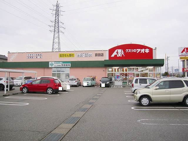 エストレーラの周辺|クスリのアオキまで150m