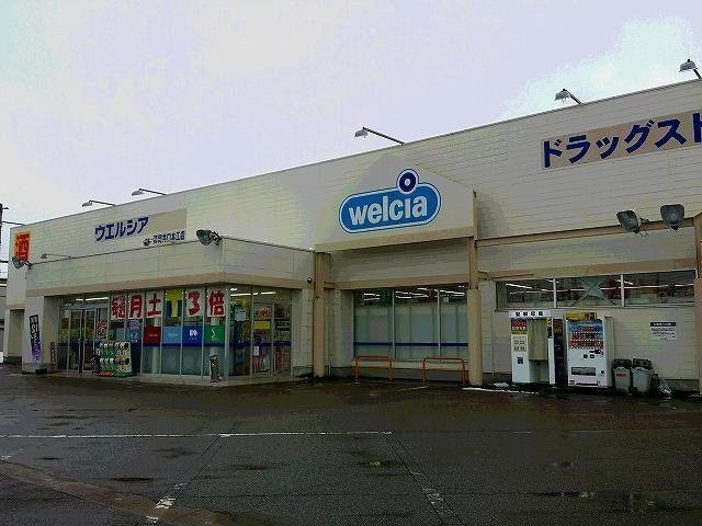グラウスの周辺|ウエルシア高岡井口本江店まで1200m