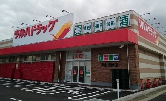 信濃町コスモスの周辺|ツルハドラッグ新潟関屋店まで550m