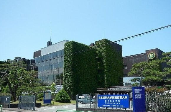 信濃町コスモスの周辺|日本歯科大学新潟病院まで400m