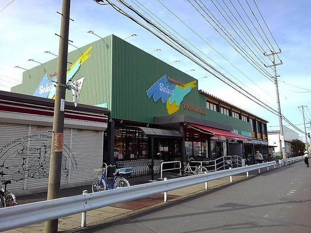 ガーデンヒルズ２４Ａの周辺|セクション三郷まで1200m