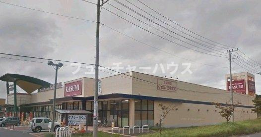エルディム桜本Ａの周辺|カスミフードスクエアまで3500m