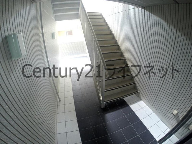 【ロビー】 | シャルムC