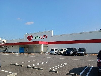 エクセラン一宮Ａの周辺|くすりのレディ薬局一宮店さんまで1000m
