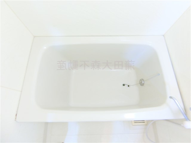 ルミエール多摩川の浴室