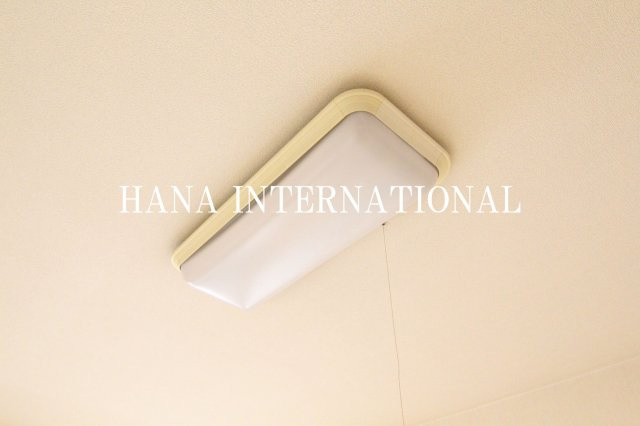 ラクダのその他