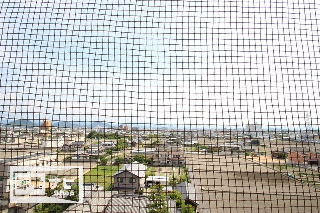 サウスフォレストの展望|眺望