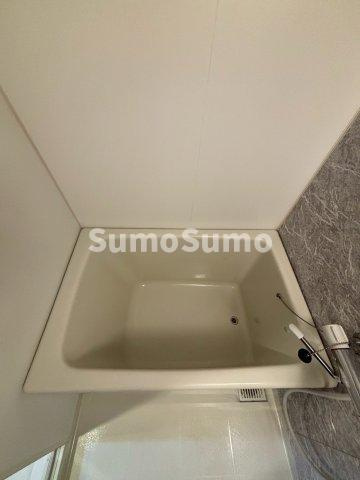 S-RESIDENCE谷町五丁目の浴室