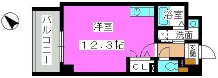 スーペリアニューハイム薬院の間取り