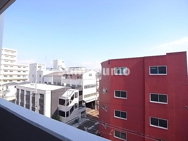 ブライジングの展望