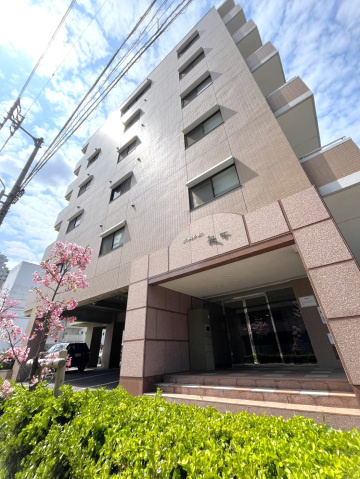 ※ロイヤルガーデン桜町の外観|建物外観