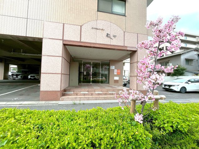 ※ロイヤルガーデン桜町のエントランス|エントランス