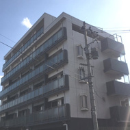 Sum　tomizawaの画像