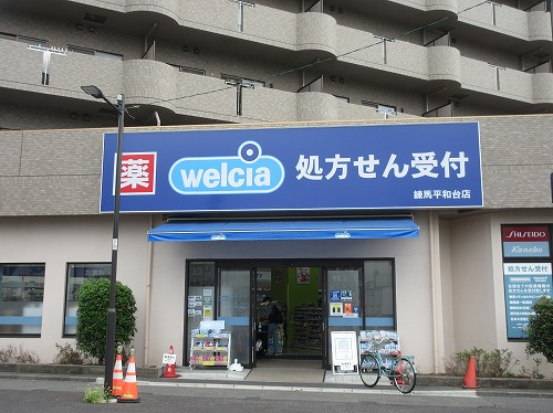 SiestaVilla平和台Contemuseoの周辺