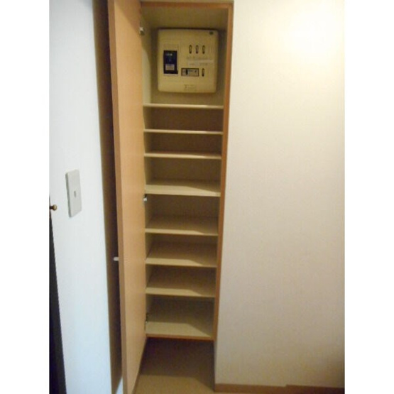 【玄関】アイビーパレス31