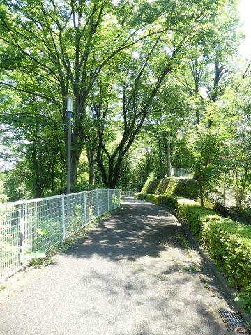 遊歩道完備です。