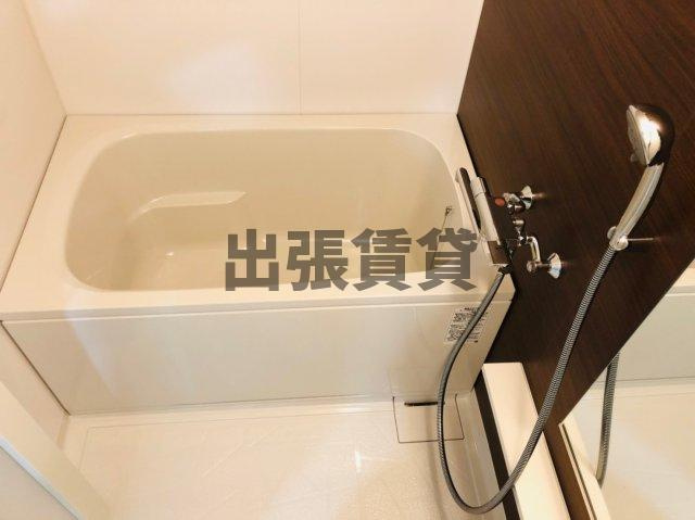 仲介手数料0！！RAFFLE OZONEⅡ -South Garden-の浴室