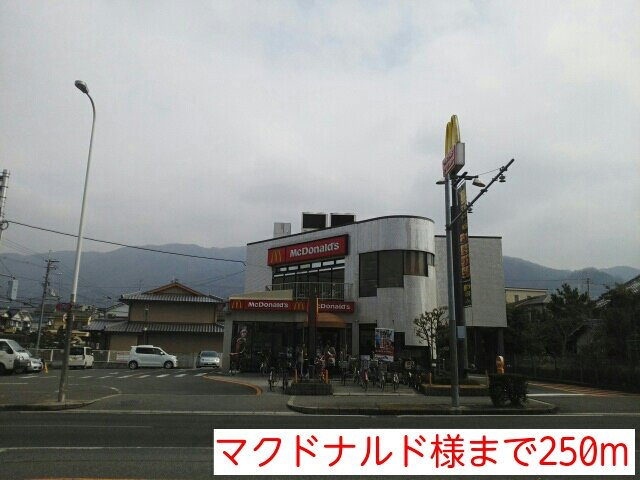 【周辺】 | パークサイド高安 | マクドナルド様まで250m
