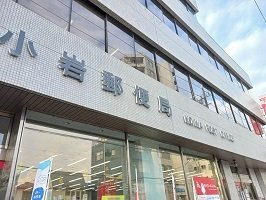アヴニール・Ｋの周辺|小岩郵便局まで650m