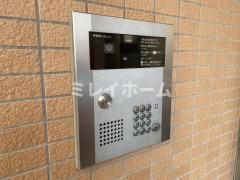 フランディルのその他