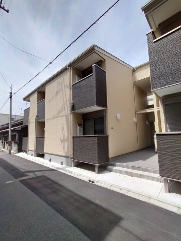  | マナティー
