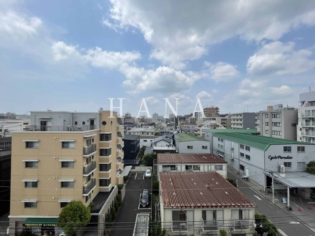 プルメリア の展望