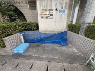 ロイヤル苦楽園のその他物件画像