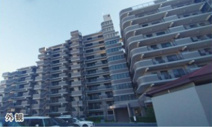 アメニクス川口の画像