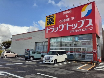 【周辺】 | サンリット　ガーデンＡ | ドラッグトップスまで850m