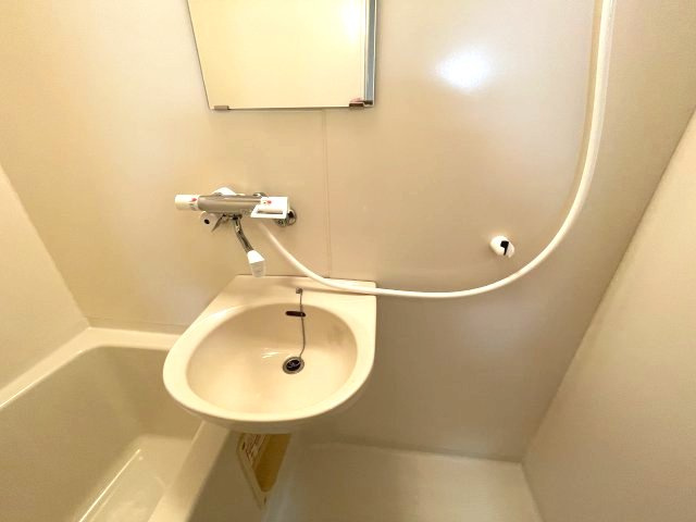 メゾン山本の洗面所