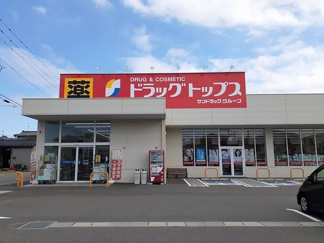 【周辺】 | ドゥリームタウン | ドラッグトップス　上木戸店まで1500m
